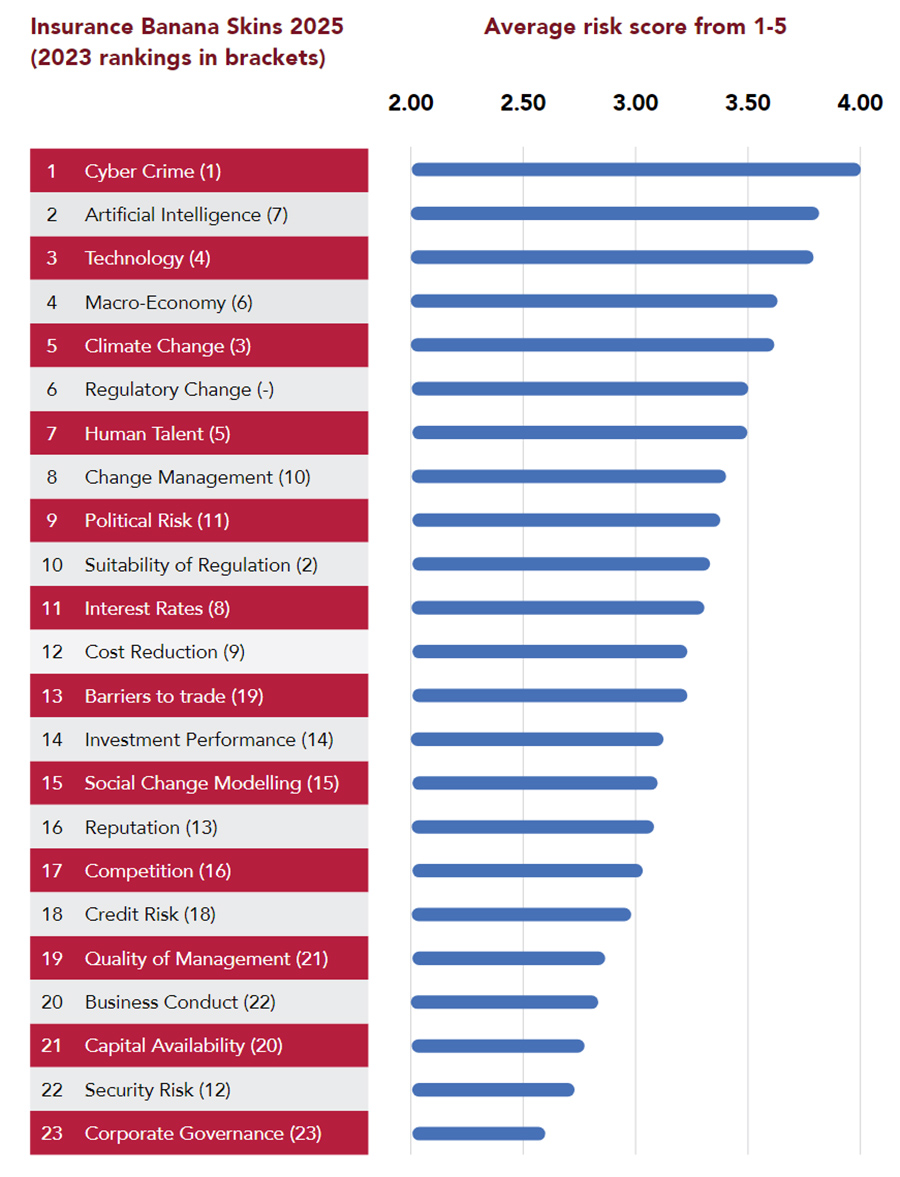 Insurance Banana Skins 2025