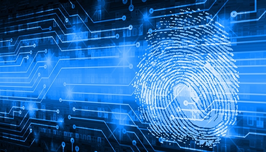 Grant Thornton and Lewis Silkin launch cyber security audit service