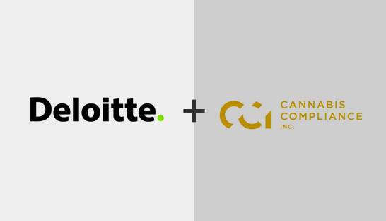 Deloitte acquires Cannabis Compliance Inc.