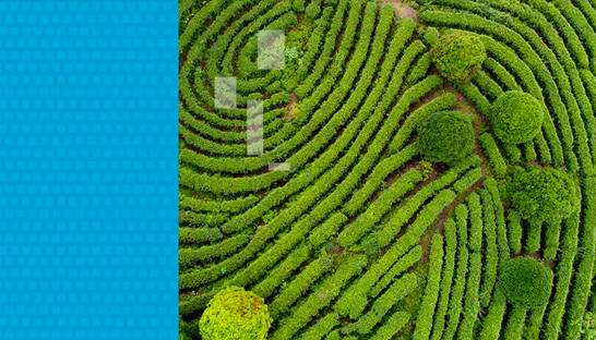 Willis Towers Watson commits to 30-year net zero target