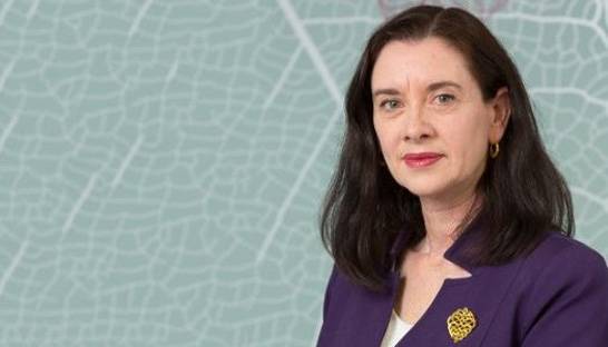 Yael Cass joins Nous Group's public policy practice