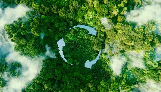 Heat in the boardroom over sustainability