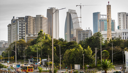 Consultants supporting reform of state-owned enterprises in Ethiopia