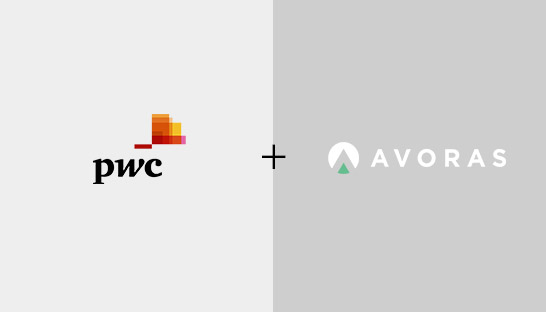 PwC beefs up SAP consulting practice with purchase of Avoras
