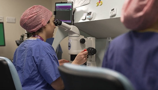 BJSS wins AWS innovation prize for IVF roadmap