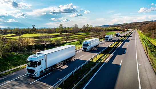 Logistics firms neglect geopolitical risks in ESG plans