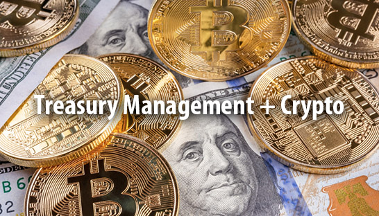 ‘Adding crypto assets to treasury management can spur higher profits’